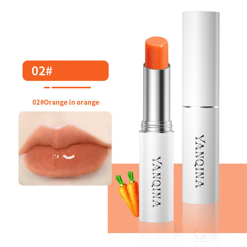 Moisturizing Lip Care Lipstick
