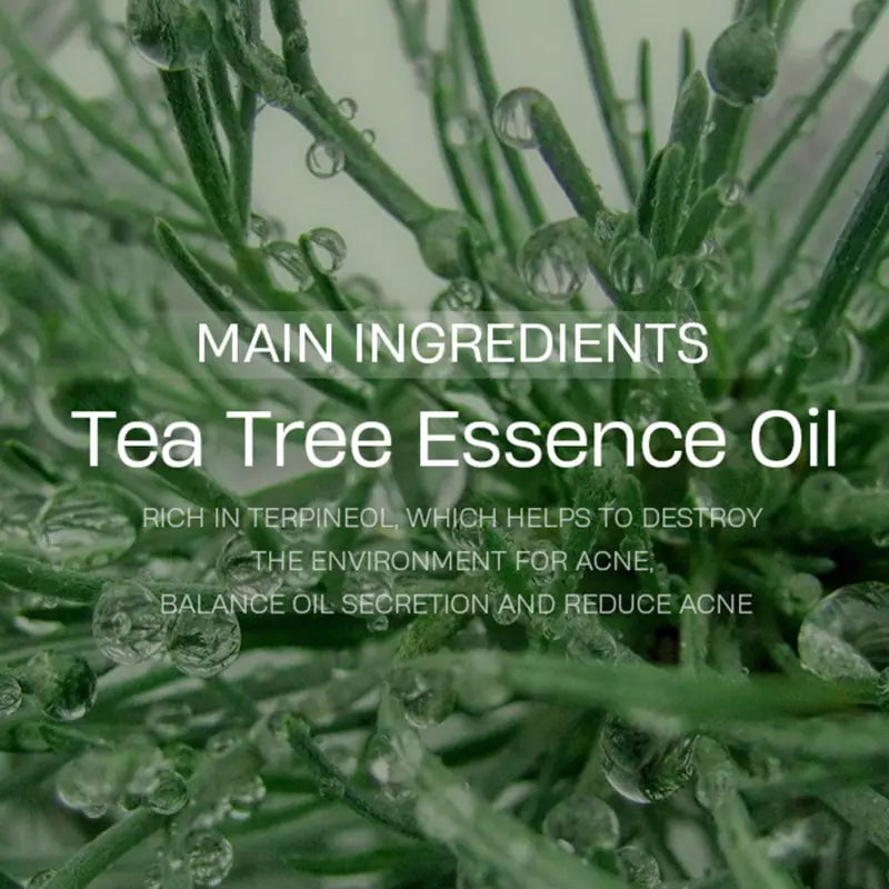 Tea Tree Facial Cleanser - Moisturizing & Cleansing